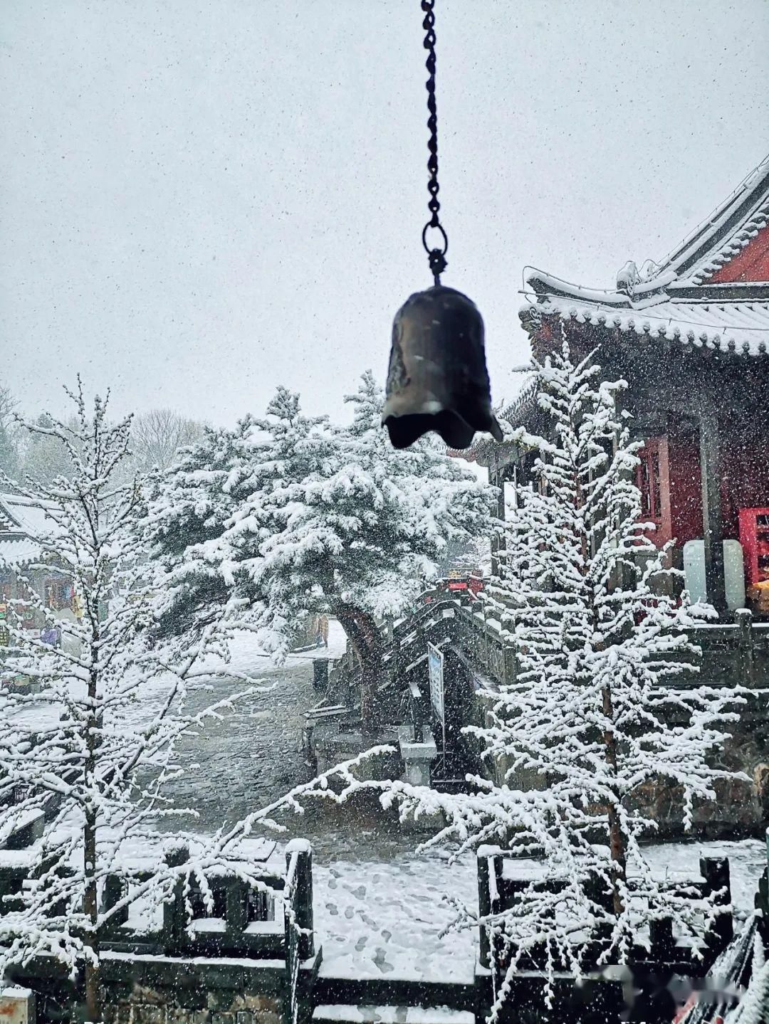  『岱宗』春雪空濛落岱宗，最美人间四月天