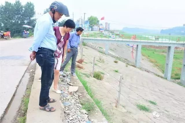 辟谣!湖北一地涌现大量虫子,专家:自然现象,与地震前兆无关