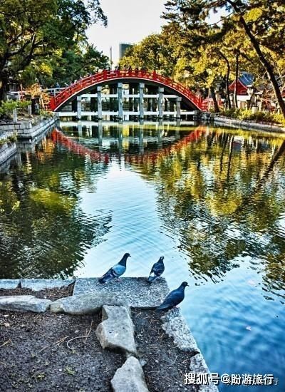  「祈福的灯笼」DAY2日本深度自由行之大阪都门奈良城崎旅行日记