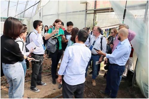  「一带一路」共建“一带一路”，听拉美记者怎么说