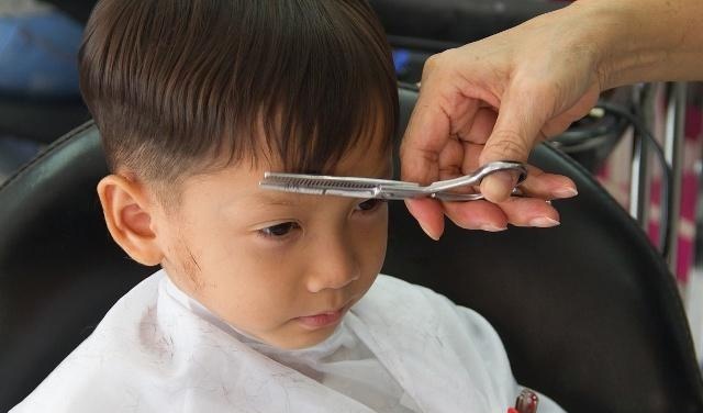 4个农村致富小项目，别看不起眼，有人已经赚了“一桶金”