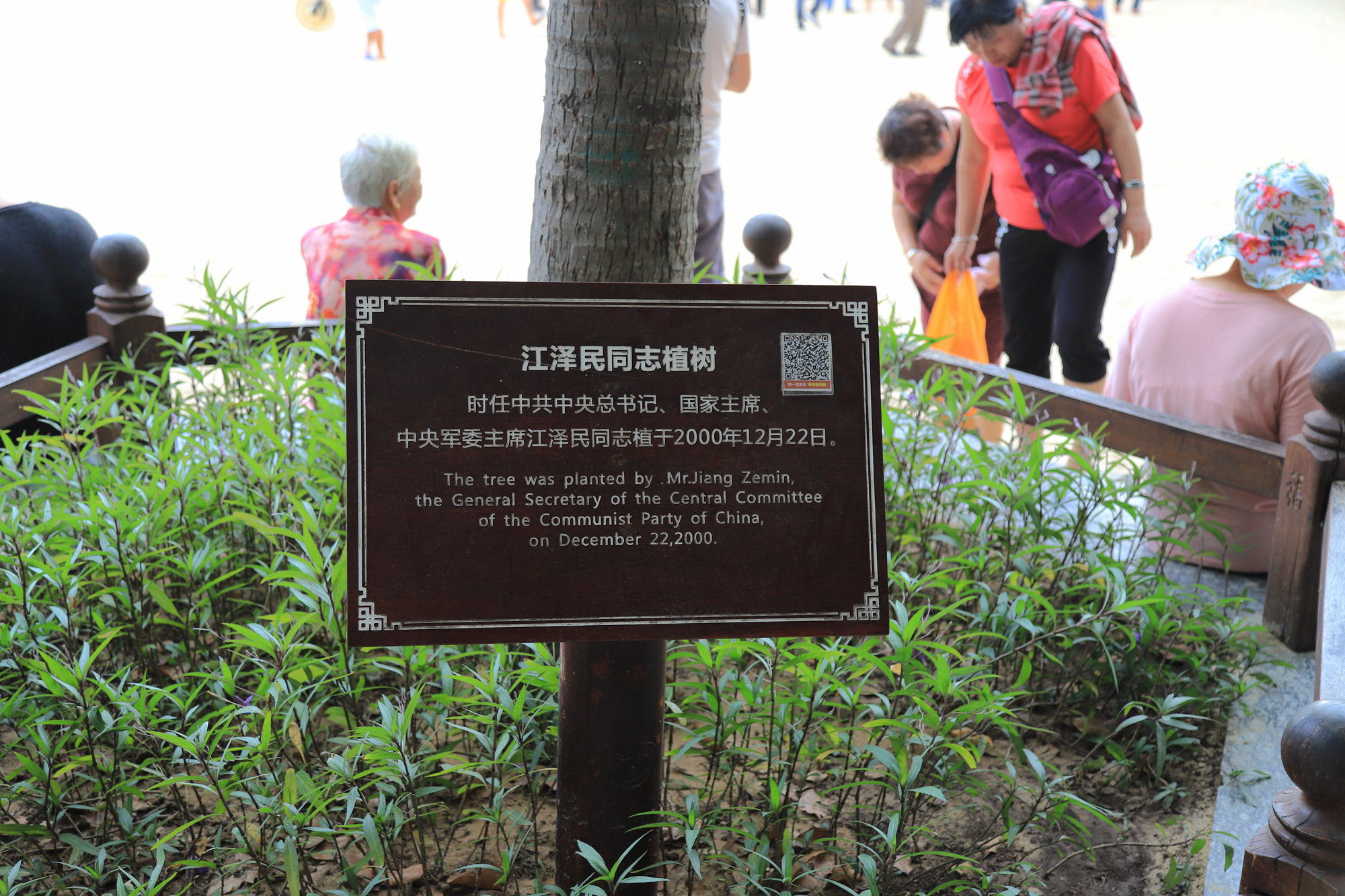 【遇上一座城】请到天涯海角来，一起去看比基尼大长腿的三亚微游