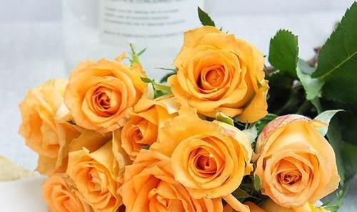 「艳丽」喜欢玫瑰,就优选“稀有玫瑰”假日公主,花开金光四射,格外艳丽