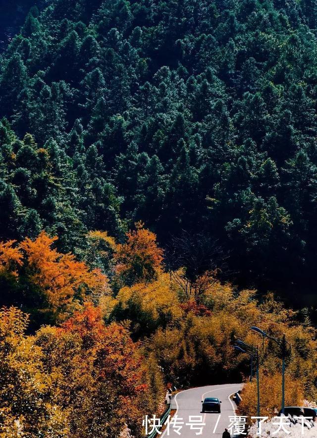 安徽旅游:大山深处一抹红,马丁公路、马鬃岭秋色美翻了