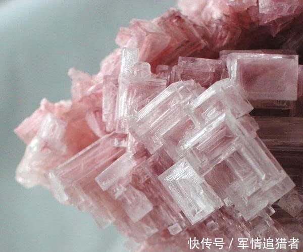 日本3块一斤从中国进口，转头3万卖出去，中国去日游客是主力军