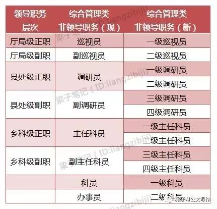 【伴公汀】深度分析：职务与职级并行后，谁快了？谁慢了？
