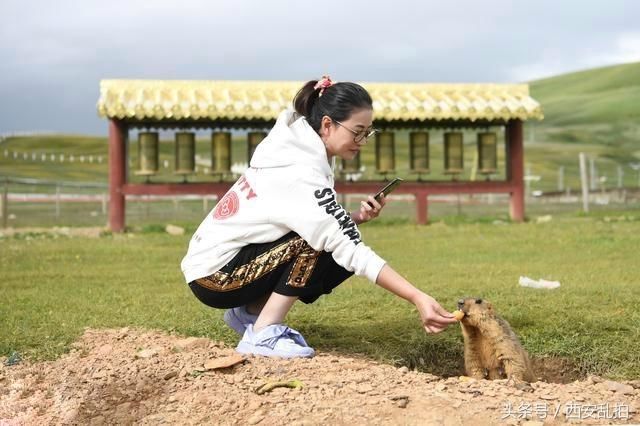 这位大明星一个人低调出行，50多岁拍的旅游照像20多岁