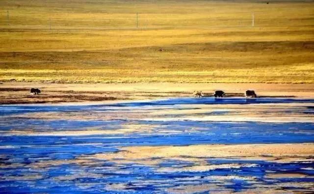 『青海』青海39个之最,不但在全国出名了,还有这么多世界级....