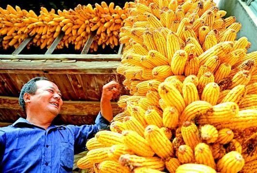  #农民朋友#农民有钱了 家有20万存款，在农村究竟算富人还是穷人