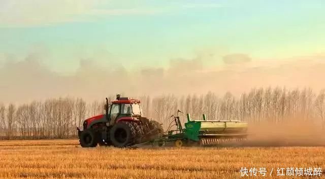 日本人在中国租了1500亩地，闲置5年任荒草疯长，但结果让所有人