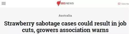 香蕉也发现针头！事态严重升级，疑似有人报复袭击！澳政府悬赏！