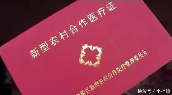  看得起@2019年新农合缴费标准已出炉, 农民: 终于可以看得起大病