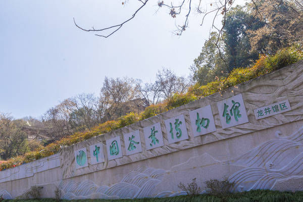 西湖最冷门的旅游路线,人少景美,一般人都不知道