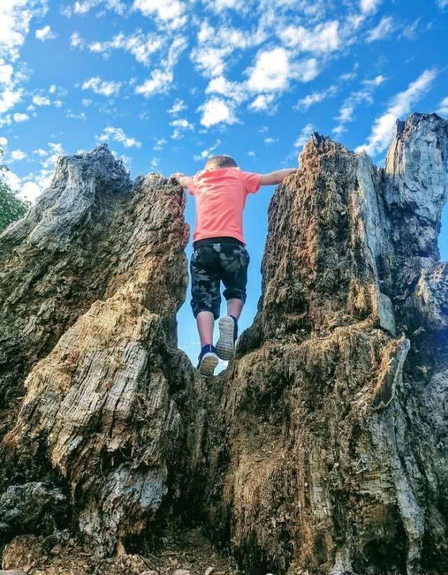 太巧了！这些偶然拍到照片，会让你产生错觉