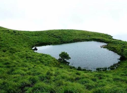 全世界都在说“我爱你”，而我要送你小心心