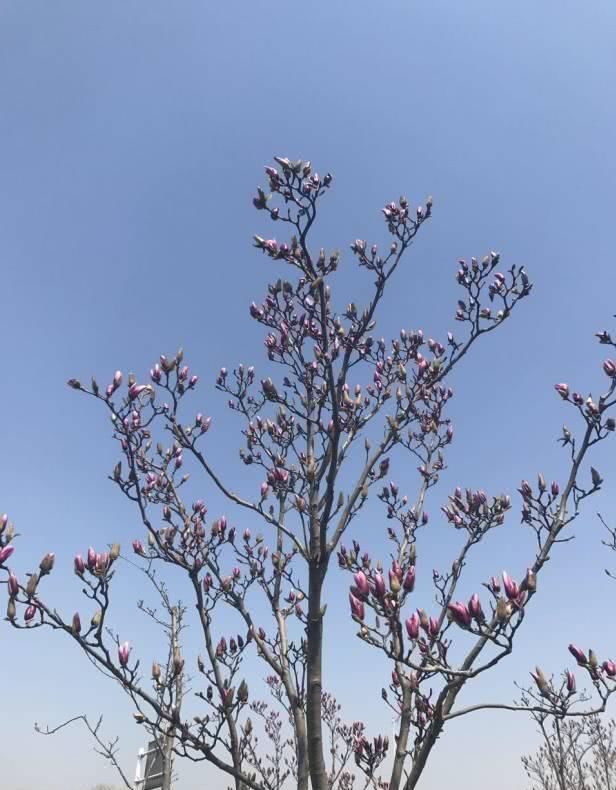  锡山：等待三生三世，寻遍四海八荒，只求在锡山遇到你