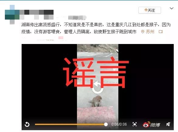 乱跑■辟谣！猴子大街上乱跑无人管？酒精消毒引发火灾？这样的谣言传到重庆了