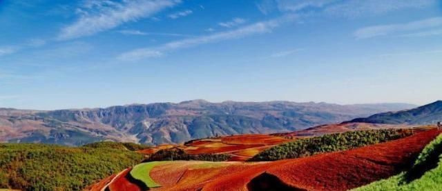 中国唯一没有“B”车牌号的省份,原因令人心酸?外地人却想笑!