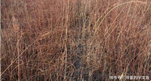 GDP洼地！为什么江苏的苏北地区经济比江南差了这么多