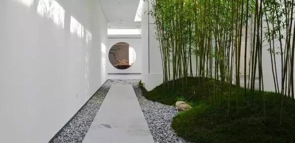 庭院竹子50张图告诉你，花园里种竹子有多高大上，气质瞬间提升