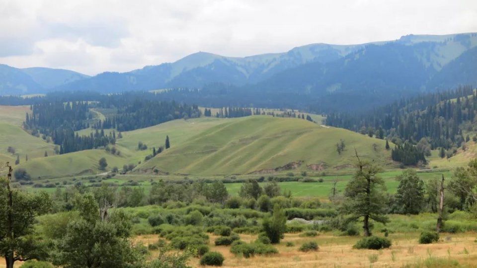 那拉提大草原:仿佛人间伊甸