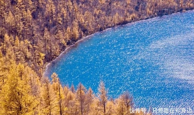 呼伦贝尔的秋天，美的太高级