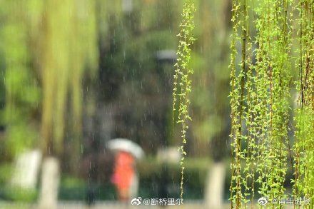  杭州|杭州离入春已经不远了！但接下来，晴、雨、阴会频繁变换