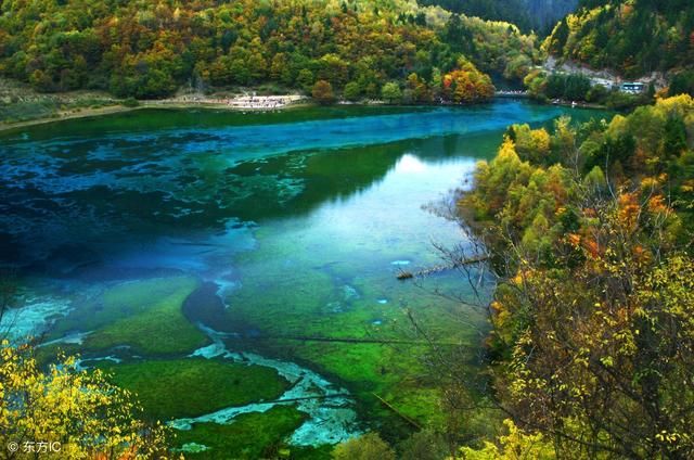 青山绿水：一条溪流的等待