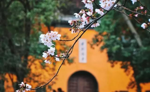 这几个地方景色太美还免费，网友大呼：辞职也要去看看