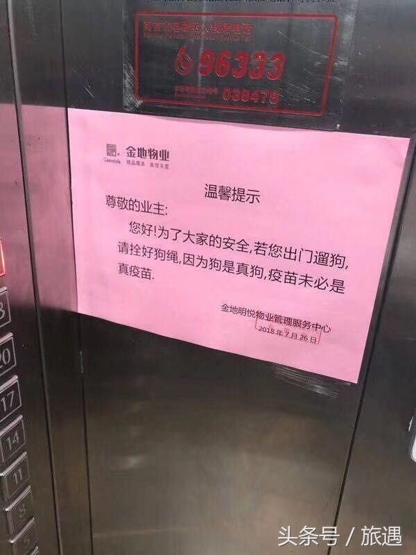 假疫苗恐慌蔓延，南京小区贴告示提醒业主遛狗拴狗绳