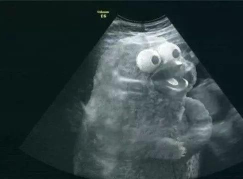 给男朋友发消息说"我好像怀孕了"，网友的评论太精彩了