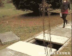 打架:搞笑GIF趣图:哥们,如果每一位球迷都像你一样,就不会打架了!