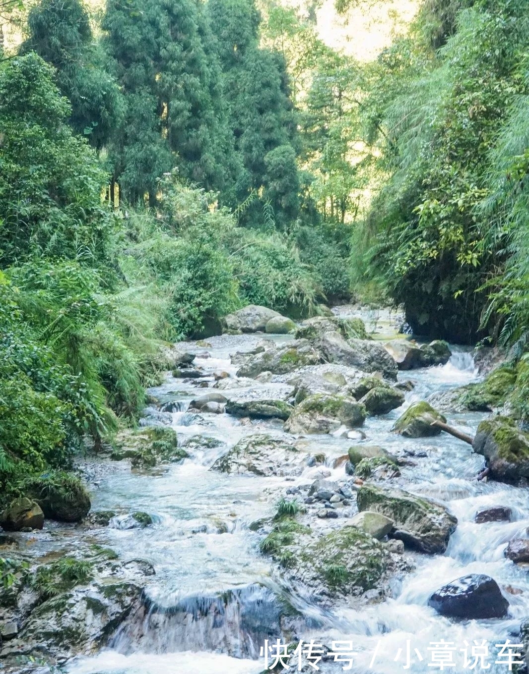 峨眉山，被低估了的四川避暑王者！