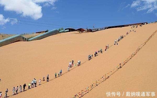 沙漠里的“西瓜”千万不要摘, 胆大游客不听, 刚拿起一个就后悔了