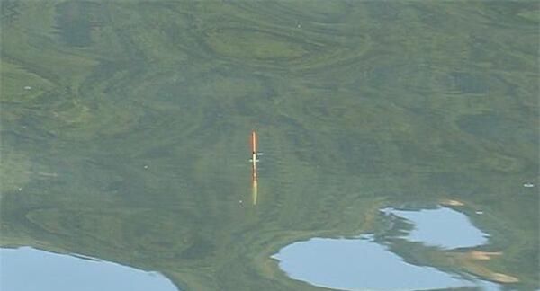 『情况决定』4月发文:调漂技巧:钓目发生了变化,双饵和子线