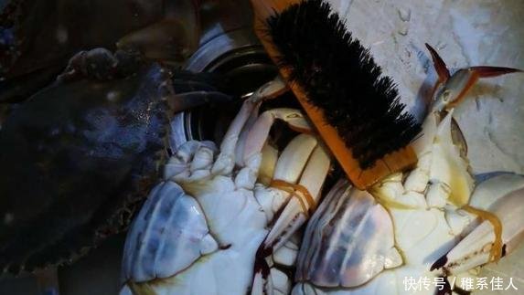『特别』老火夫教你这样蒸螃蟹,不流黄、不掉腿、肉质鲜嫩还不腥,收藏吧