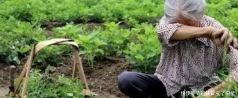  「心酸」心酸：七十多还在种地干活的农民有很多，农村养老到底