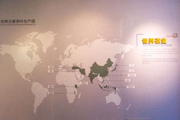 西湖最冷门的旅游路线，人少景美，一般人都不知道