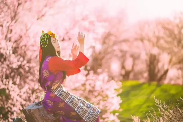 2019年，去林芝看桃花！