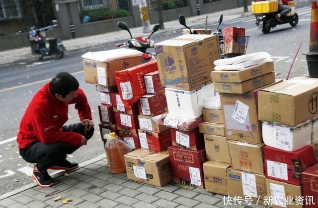 未来5年，农民可选择这4个行业，只要抓住机遇，你也可以发家致富