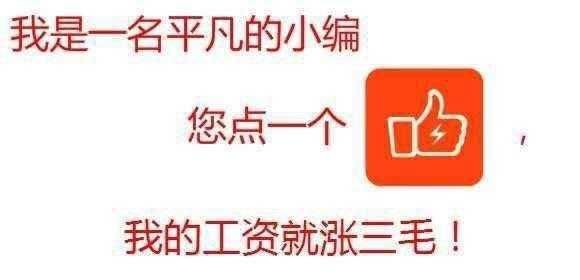 国土面积只有中国三分之一的印度：有把握超越中国经济！