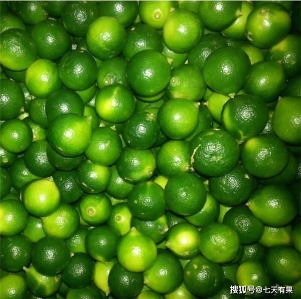  『技巧』金橘的挑选技巧，金橘怎么吃好吃？