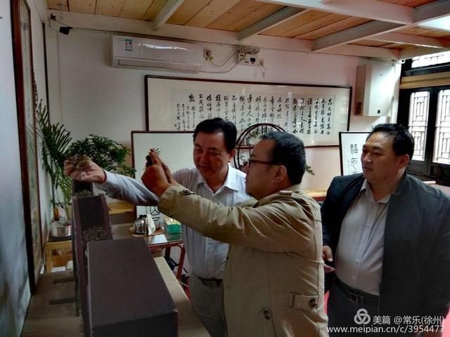 #盆协#徐州收藏家协会(盆景协会和铁路盆协)回龙窝微型盆景