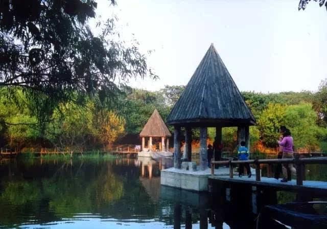 江苏浪漫的13个露营地都在这儿了,约吗?