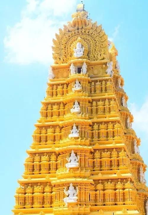 到轰动世界的照片,打开看看!