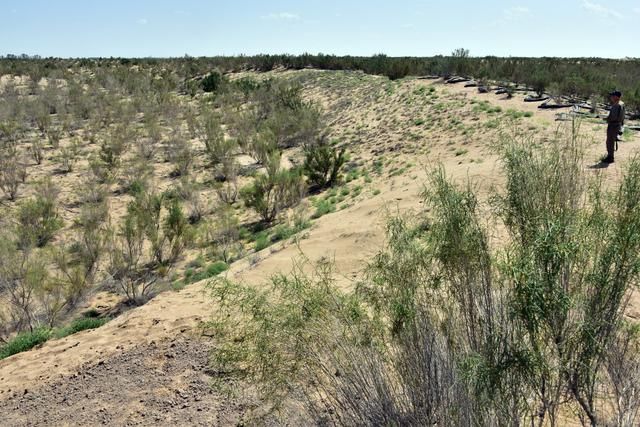  「中国」中国这款特种车成功问世，固沙技术十分先进，沙漠土地