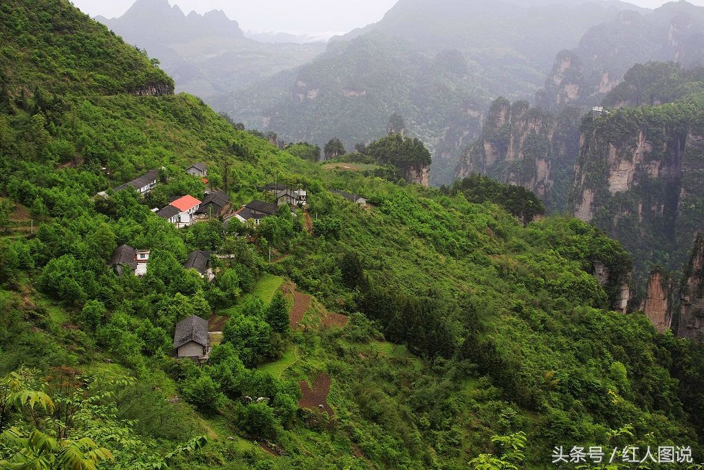 世界上最险的一块“空中稻田”:位于万丈高峰顶上，就在中国