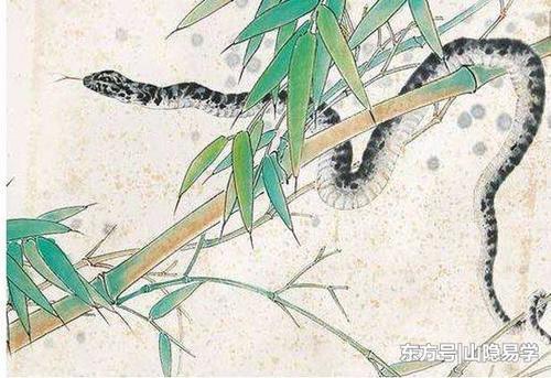 算命大师山隐道长：未来一年财运水涨船高的3大生肖