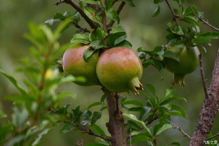 奥迪A6L，宝马X3，奔驰GLB，凯迪拉克CT5，不一样的新感受之九