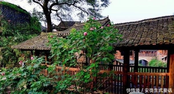深藏在贵州最“淳朴”的古寨，400株古楠木树环绕，还未被商业化